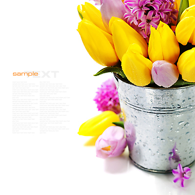 포토 JPG 해외이미지 꽃다발 봄꽃 실내 타이포그라피 사람없음 튤립 양동이 흰배경 히아신스 카피스페이스 해외202004 해외포토 문자 꽃 백그라운드 내부 봄 공백 흰색 파일형식