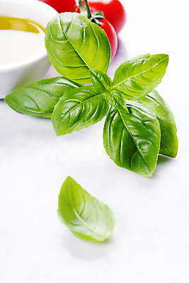 포토 JPG 해외이미지 채소 방울토마토 실내 근접촬영 사람없음 올리브오일 흰배경 채식 바질 해외202004 해외포토 뷰포인트 백그라운드 토마토 내부 흰색 기름_음식 파일형식