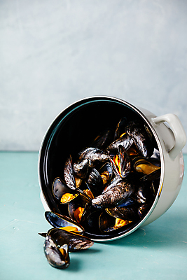 포토 JPG 해외이미지 회색배경 사람없음 냄비 홍합 쏟아짐 해외202004 해외포토 백그라운드 모션 어패류 회색 솥 파일형식