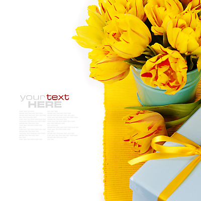 포토 JPG 해외이미지 화분 꽃다발 실내 타이포그라피 사람없음 선물상자 튤립 흰배경 카피스페이스 해외202004 해외포토 문자 꽃 백그라운드 선물 내부 상자 공백 흰색 파일형식