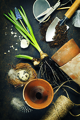 포토 JPG 해외이미지 꽃 화분 검은배경 사람없음 하이앵글 둥지 모종삽 깃털 원예 노끈 메추리알 원예용품 해외202004 해외포토 식물 줄 뷰포인트 생활용품 백그라운드 취미 알 검은색 삽 파일형식