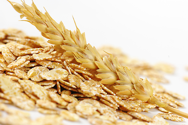 포토 JPG 해외이미지 스튜디오촬영 음식 건조 사람없음 쌓기 그룹 아침식사 낟알 시리얼 묘사 흙더미 건강식 오트밀 해외202004 해외202105 해외포토 모션 실내 식사 흙 파일형식 더미 귀리