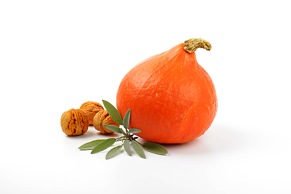 포토 JPG 해외이미지 스튜디오촬영 식물 음식 잎 채소 오렌지 호박 사람없음 장식 할로윈 견과류 가을 나뭇가지 신선 원형 양념 작음 허브 향신료 흰배경 유기농 날것 호두 박 추수감사절 국산 스쿼시 세이지 숙성 식용 해외202004 해외202105 해외포토 도형 나무 웰빙 계절 기독교 스포츠 백그라운드 과일 실내 구기 흰색 크기 향미료 파일형식