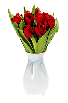 포토 JPG 해외이미지 리본 꽃다발 사람없음 꽃병 튤립 흰배경 해외202004 해외포토 꽃 백그라운드 흰색 파일형식