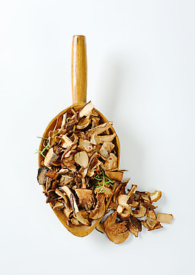 포토 JPG 해외이미지 스튜디오촬영 식재료 건조 실내 사람없음 하이앵글 버섯 가득함 흰배경 로즈메리 나무주걱 해외202004 해외202105 해외포토 뷰포인트 백그라운드 내부 목재 흰색 허브 주걱 파일형식