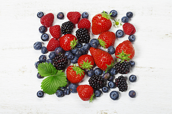 포토 JPG 해외이미지 딸기 사람없음 블루베리 산딸기 블랙베리 해외202004 해외포토 과일 파일형식