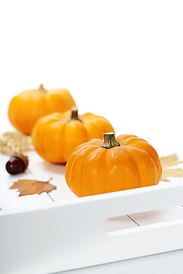 포토 JPG 해외이미지 낙엽 호박 쟁반 실내 사람없음 농작물 가을 흰배경 일렬 도토리 해외202004 해외포토 계절 백그라운드 잎 농업 채소 내부 견과류 흰색 파일형식