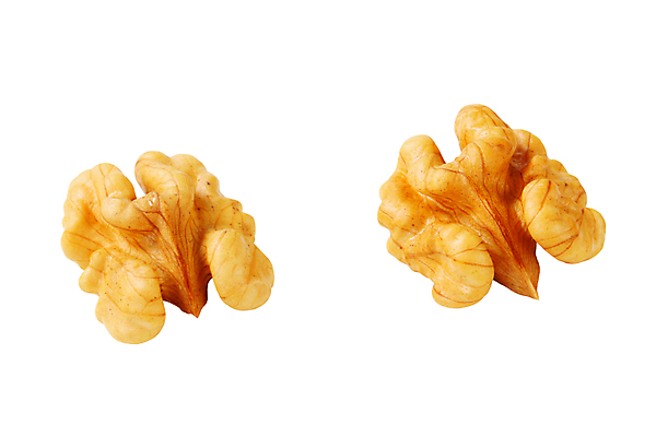 포토 JPG 해외이미지 실내 사람없음 두개 흰배경 호두 해외202004 해외202105 해외포토 백그라운드 2 내부 견과류 흰색 파일형식