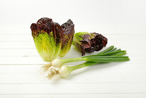 포토 JPG 해외이미지 스튜디오촬영 음식 줄기 잎 채소 재료 양파 건강 사람없음 빨간색 초록색 머리 샐러드 신선 상추 다발 유기농 날것 파 국산 내추럴 숙성 로메인상추 해외202004 해외202105 해외포토 식물 웰빙 컬러 실내 신체부위 파일형식