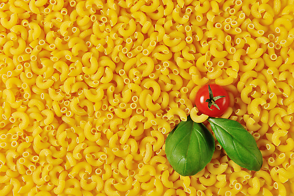 포토 JPG 해외이미지 음식 재료 파스타 사람없음 머리위 마카로니 해외202004 해외202105 해외포토 서양음식 파스타면 파일형식