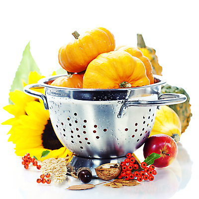 포토 JPG 해외이미지 열매 호박 해바라기 실내 사람없음 농작물 벼 가을 채망 사과 흰배경 담기 호두 도토리 추수감사절 해외202004 해외포토 식물 계절 꽃 기독교 백그라운드 농업 채소 과일 모션 주방용품 곡류 내부 견과류 흰색 파일형식