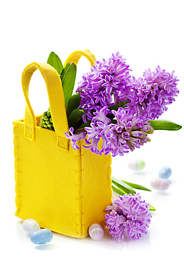 포토 JPG 해외이미지 잎 가방 부활절 실내 사람없음 흰배경 원예 부활절계란 히아신스 해외202004 해외포토 식물 잡화 기념일 꽃 백그라운드 취미 내부 계란 흰색 파일형식