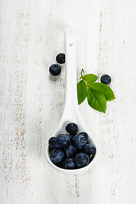 포토 JPG 해외이미지 잎 사람없음 숟가락 블루베리 해외202004 해외포토 식물 과일 수저 파일형식