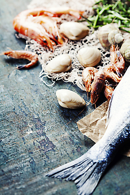 포토 JPG 해외이미지 조개 새우 실내 어류 사람없음 그물 레몬 해산물 소금 해외202004 해외포토 과일 어패류 갑각류 내부 수중동물 파일형식