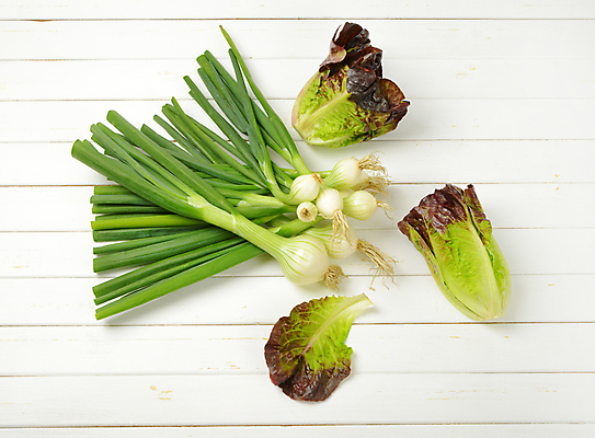 포토 JPG 해외이미지 스튜디오촬영 음식 줄기 잎 채소 재료 양파 건강 사람없음 빨간색 초록색 머리 샐러드 신선 상추 다발 유기농 날것 머리위 파 국산 내추럴 숙성 로메인상추 해외202004 해외202105 해외포토 식물 웰빙 컬러 실내 신체부위 파일형식