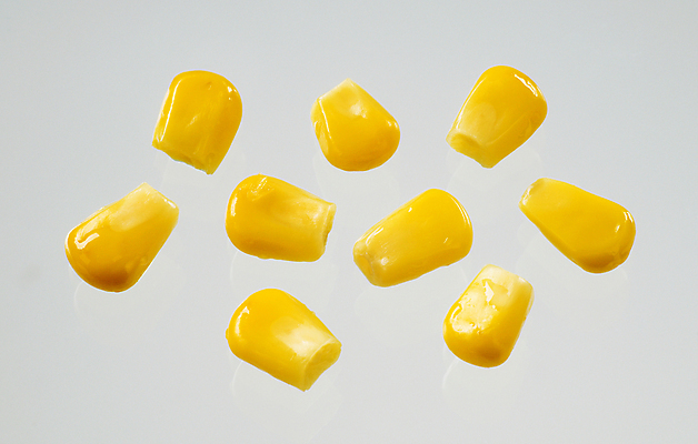 포토 JPG 해외이미지 실내 옥수수 사람없음 흰배경 옥수수알갱이 해외202004 흩날리기 해외202105 해외포토 백그라운드 모션 곡류 내부 흰색 파일형식