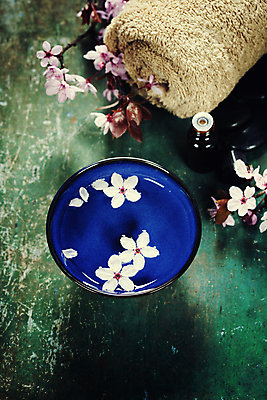 포토 JPG 해외이미지 꽃잎 실내 사람없음 수건 벚꽃 사발 나무바닥 스파용품 아로마테라피 아로마오일 해외202004 해외포토 꽃 바닥 내부 위생용품 스파 사기그릇 오일_화장품 오브젝트 테라피 파일형식