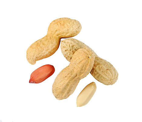 포토 JPG 해외이미지 실내 사람없음 여러개 흰배경 땅콩 땅콩껍질 해외202004 해외202105 해외포토 다수 백그라운드 내부 견과류 껍질 흰색 파일형식