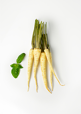 포토 JPG 해외이미지 스튜디오촬영 음식 재료 파슬리 건강 사람없음 신선 그룹 다발 흰배경 유기농 날것 뿌리 머리위 해외202004 해외202105 해외포토 웰빙 백그라운드 채소 실내 흰색 파일형식