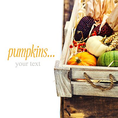 포토 JPG 해외이미지 호박 실내 타이포그라피 사람없음 농작물 벼 가을 나무상자 흰배경 추수감사절 카피스페이스 흑찰옥수수 해외202004 해외포토 문자 계절 기독교 백그라운드 농업 채소 곡류 내부 상자 공백 흰색 찰옥수수 파일형식