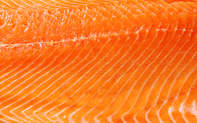 포토 JPG 해외이미지 음식 백그라운드 오렌지 건강 어류 사람없음 신선 횡단보도 묘사 질감 날것 머리위 연어 송어 해외202004 해외202105 송어회 해외포토 과일 수중동물 생선회 보행로 파일형식