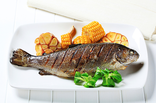 포토 JPG 해외이미지 접시 음식 마늘 어류 옥수수 사람없음 식사 저녁식사 흰색 그릴 바비큐 굽기 매움 냅킨 머리위 점심식사 송어 앙트레 해외202004 해외202105 해외포토 식기 컬러 채소 주방용품 곡류 수중동물 맛 구이 파일형식