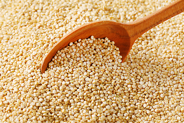 포토 JPG 해외이미지 스튜디오촬영 음식 재료 건조 건강 씨앗 사람없음 목재 숟가락 흰색 닫기 낟알 알맹이 날것 생식 퀴노아 슈퍼푸드 해외202004 해외202105 해외포토 나무 식물 컬러 모션 곡류 수저 실내 건강식품 파일형식