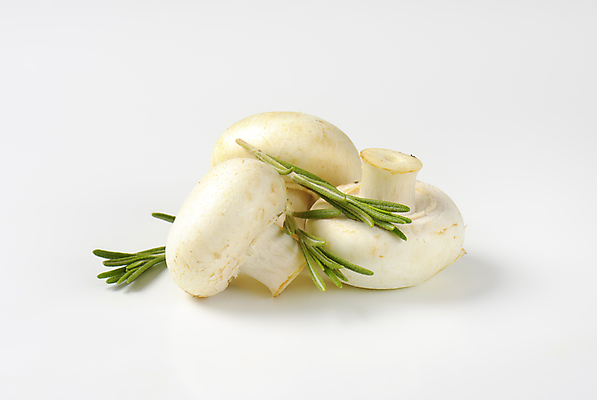 포토 JPG 해외이미지 스튜디오촬영 식재료 실내 사람없음 흰배경 양송이 로즈메리 해외202004 해외202105 해외포토 백그라운드 내부 버섯 흰색 허브 파일형식