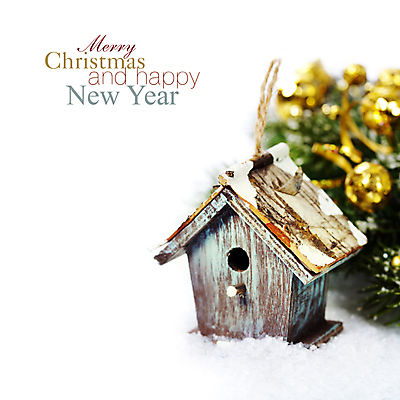 포토 JPG 해외이미지 크리스마스장식 크리스마스 타이포그라피 사람없음 크리스마스트리 눈 흰배경 새장 오너먼트 카피스페이스 해외202004 해외포토 자연요소 문자 기념일 백그라운드 날씨 공백 흰색 케이지 파일형식