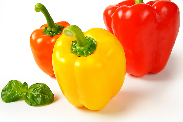 포토 JPG 해외이미지 고추 파프리카 실내 사람없음 흰배경 해외202004 해외202105 해외포토 백그라운드 채소 내부 흰색 파일형식