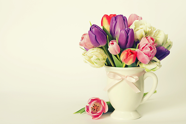 포토 JPG 해외이미지 리본 꽃다발 실내 사람없음 꽃병 튤립 흰배경 카피스페이스 해외202004 해외포토 꽃 백그라운드 내부 공백 흰색 파일형식