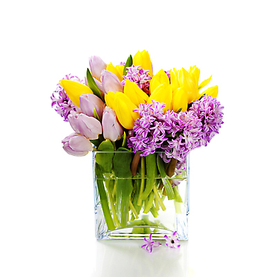 포토 JPG 해외이미지 꽃다발 봄꽃 실내 사람없음 꽃병 튤립 흰배경 히아신스 해외202004 해외포토 꽃 백그라운드 내부 봄 흰색 파일형식