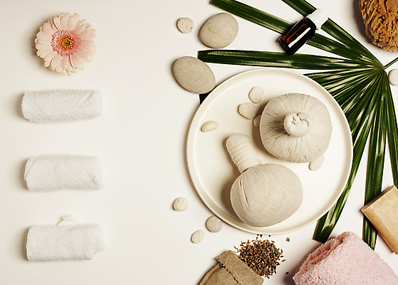 포토 JPG 해외이미지 잎 쟁반 실내 사람없음 수건 흰배경 스파용품 비누 거베라 아로마테라피 찻잎 스톤 포대자루 허브볼 아로마오일 해외202004 해외포토 식물 꽃 백그라운드 내부 차_음료 위생용품 스파 흰색 오일_화장품 오브젝트 자루 테라피 파일형식