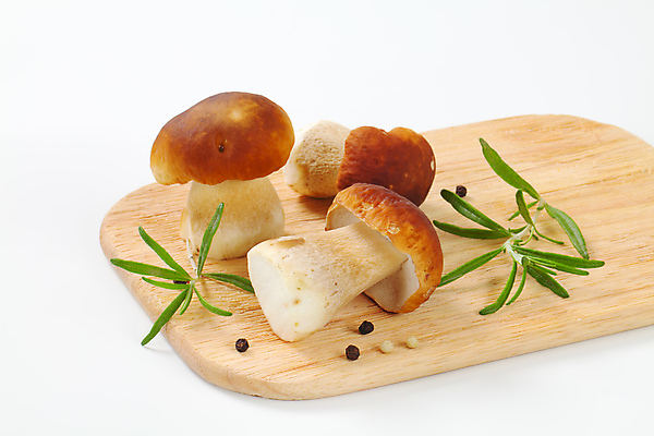 포토 JPG 해외이미지 스튜디오촬영 식재료 실내 사람없음 흰배경 로즈메리 그물버섯 나무도마 통후추 해외202004 해외202105 해외포토 백그라운드 도마 내부 목재 버섯 흰색 허브 후추 파일형식