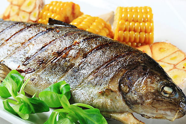 포토 JPG 해외이미지 접시 음식 마늘 어류 옥수수 사람없음 식사 저녁식사 흰색 그릴 바비큐 굽기 묘사 매움 점심식사 송어 앙트레 해외202004 해외202105 해외포토 식기 컬러 채소 주방용품 곡류 수중동물 맛 구이 파일형식