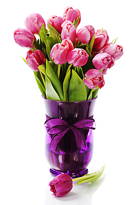 포토 JPG 해외이미지 리본 꽃다발 실내 사람없음 꽃병 튤립 흰배경 해외202004 해외포토 꽃 백그라운드 내부 흰색 파일형식