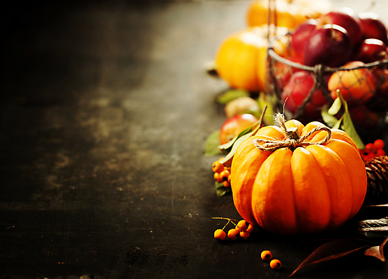 포토 JPG 해외이미지 호박 실내 사람없음 농작물 바구니 가을 사과 사과바구니 카피스페이스 해외202004 해외포토 계절 농업 채소 과일 내부 공백 파일형식