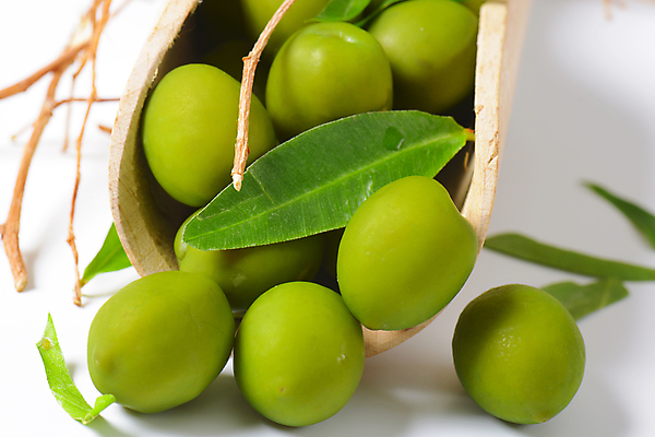 포토 JPG 해외이미지 스튜디오촬영 실내 근접촬영 사람없음 여러개 나뭇가지 흰배경 올리브 스쿱 올리브잎 해외202004 해외202105 해외포토 나무 열매 뷰포인트 다수 백그라운드 잎 내부 흰색 파일형식