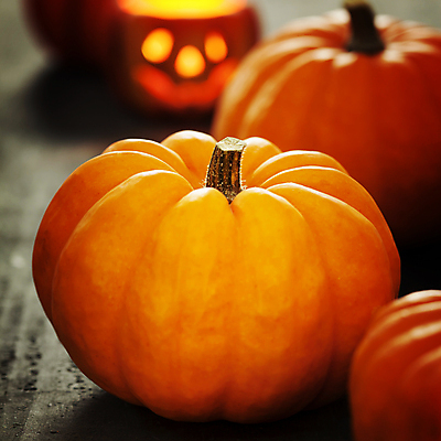 포토 JPG 해외이미지 호박 실내 근접촬영 사람없음 아웃포커스 농작물 할로윈 가을 나무바닥 잭오랜턴 해외202004 해외포토 계절 뷰포인트 농업 채소 바닥 촬영기법 내부 파일형식