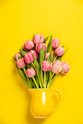 포토 JPG 해외이미지 꽃다발 실내 사람없음 하이앵글 꽃병 튤립 담기 노란배경 해외202004 해외포토 꽃 뷰포인트 백그라운드 모션 내부 노란색 파일형식