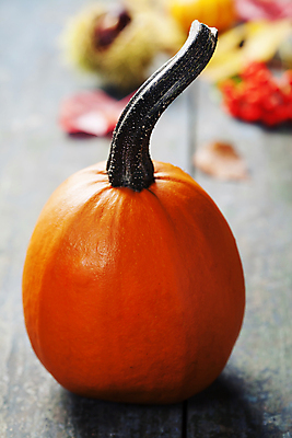 포토 JPG 해외이미지 호박 실내 사람없음 아웃포커스 농작물 가을 나무바닥 해외202004 해외포토 계절 농업 채소 바닥 촬영기법 내부 파일형식