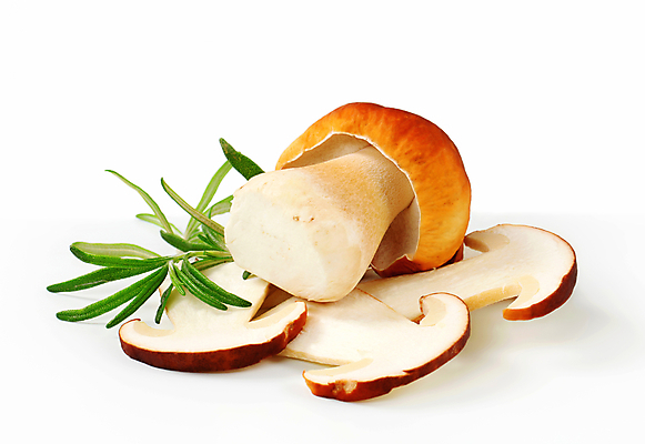 포토 JPG 해외이미지 스튜디오촬영 식재료 실내 사람없음 흰배경 슬라이스 로즈메리 그물버섯 해외202004 해외202105 해외포토 백그라운드 내부 버섯 흰색 허브 파일형식