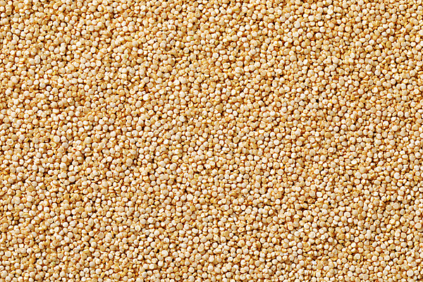 포토 JPG 해외이미지 스튜디오촬영 음식 백그라운드 재료 건조 건강 씨앗 사람없음 흰색 낟알 알맹이 날것 머리위 생식 퀴노아 슈퍼푸드 해외202004 해외202105 해외포토 식물 컬러 곡류 실내 건강식품 파일형식