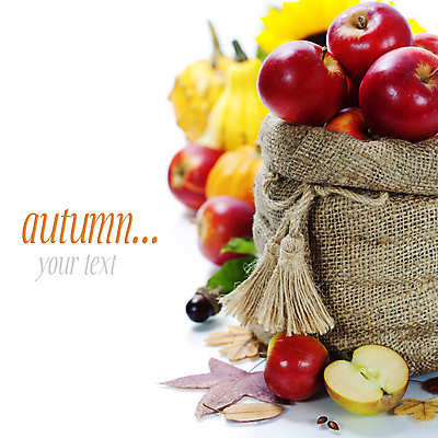 포토 JPG 해외이미지 낙엽 실내 타이포그라피 사람없음 아웃포커스 가을 신선 사과 흰배경 담기 자루 반쪽사과 사과반쪽 해외202004 해외포토 문자 계절 백그라운드 잎 과일 모션 촬영기법 내부 흰색 파일형식