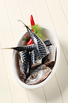 포토 JPG 해외이미지 접시 어류 사람없음 신선 고등어 백자 음식준비 회향 해외202004 해외202105 해외포토 식물 식기 수중동물 도자기 준비 파일형식