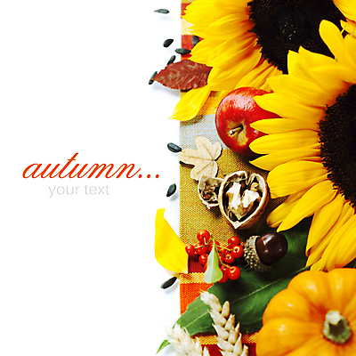 포토 JPG 해외이미지 낙엽 호박 해바라기 실내 타이포그라피 사람없음 농작물 추수 벼 가을 사과 흰배경 호두 도토리 카피스페이스 해외202004 해외포토 문자 계절 꽃 백그라운드 잎 농업 채소 과일 곡류 내부 공백 견과류 흰색 파일형식