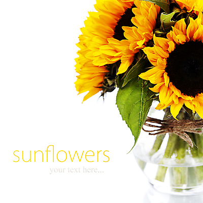 포토 JPG 해외이미지 해바라기 실내 사람없음 꽃병 해외202004 해외포토 꽃 내부 파일형식