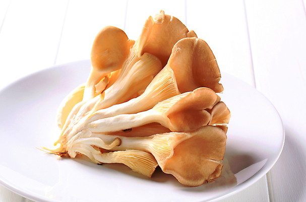 포토 JPG 해외이미지 접시 식재료 실내 사람없음 느타리버섯 해외202004 해외202105 해외포토 식기 내부 버섯 파일형식