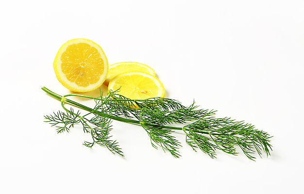 포토 JPG 해외이미지 스튜디오촬영 식물 음식 조각 잎 과일 재료 귤 사람없음 초록색 나뭇가지 신선 레몬 허브 흰배경 딜 해외202004 해외202105 해외포토 나무 컬러 백그라운드 실내 흰색 파일형식