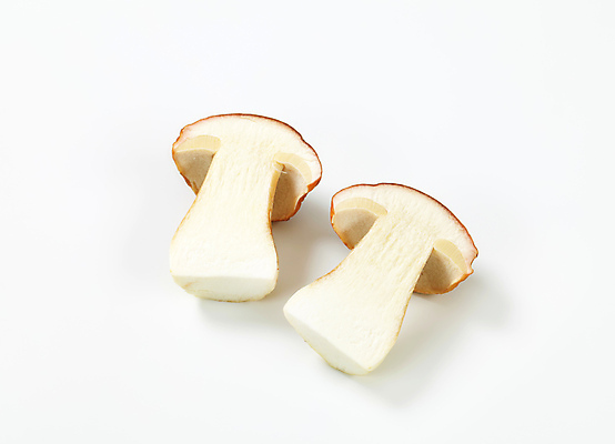 포토 JPG 해외이미지 스튜디오촬영 식재료 단면 실내 사람없음 흰배경 그물버섯 해외202004 해외202105 해외포토 백그라운드 내부 버섯 흰색 파일형식